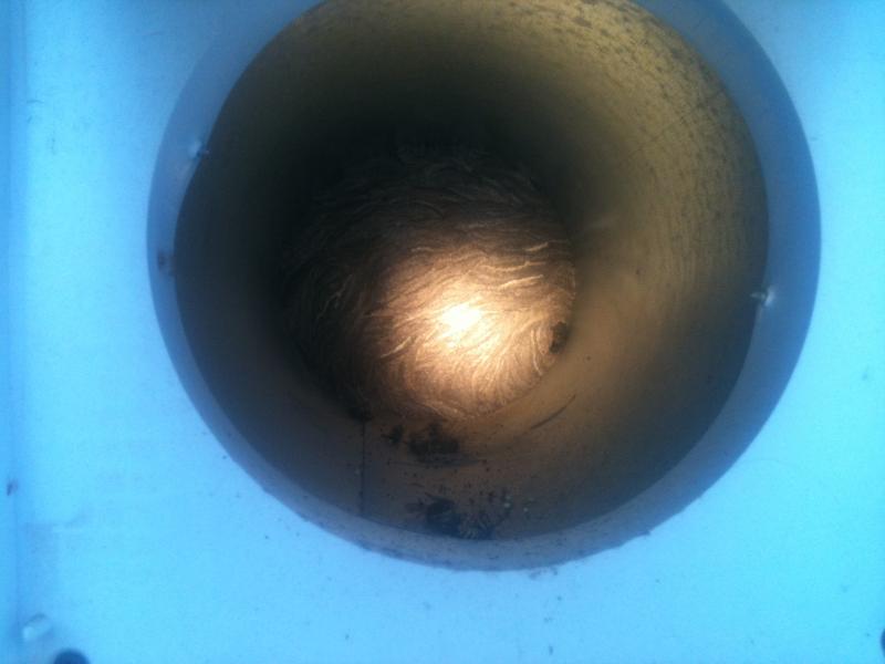 Wasp Nest Blocking HRV exhaust hood