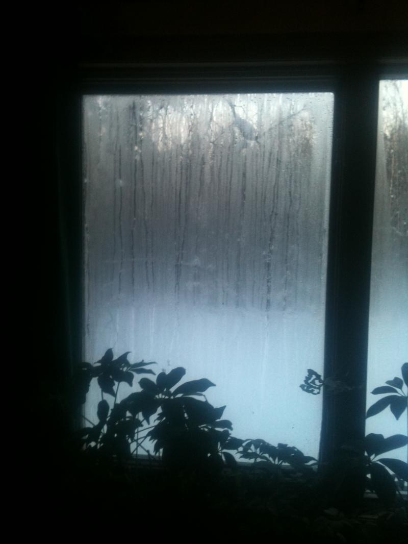 A very tight house with a bit of a moisture problem.